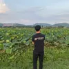 dvs49197