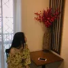 haphuong09022