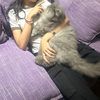 __.yashel_0