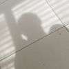 haven_rsk