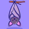 anonymous_bat_