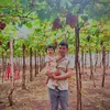 truongpham260