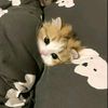 cloudsyaa09
