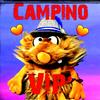 campino_orange