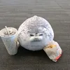 kat_gbrs