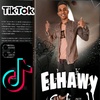 elhawy.10