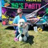 doggy_devotee