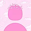 sallma65_