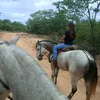 janaina74_alencar
