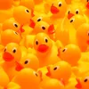 the._duck