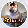 user762422034