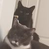 roxanneandcharlie