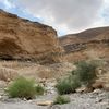 abo-salm82