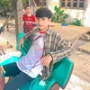 userf75l6dve0t