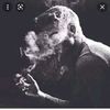 khaled_ss0