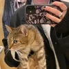 notyourfriend003