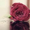 3_sarh
