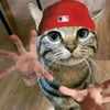 sam._sjj