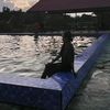 matt_chalatteee