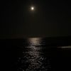 alialqarni_1995