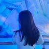 ci_02.11