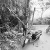nguyenducanh070209