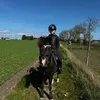 the.pony.girl