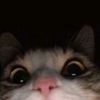 __monch00