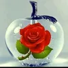 vx.pshtiwan1