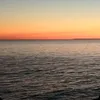 fabiennelechat8