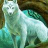 druid37