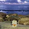 mzhakmehlafuayexxxxx