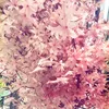 .na_230xx0