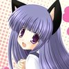 rayp4wz
