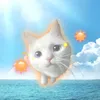 eve._gd