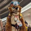 dallas_pubby