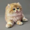 wputdo_29.6