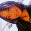 mariamabdalfth