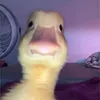 abianca._.entediada