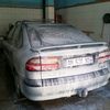 tarek.chenw