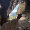 lvin_najm