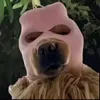gaviozu