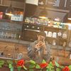 olidier10