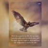 harjivansingh56