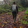 deepintothejungle_