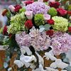 floralamer