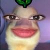 lvy_slano