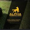 alphaworkingdogs1