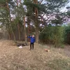 andreikomsa