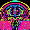 evaincorporated